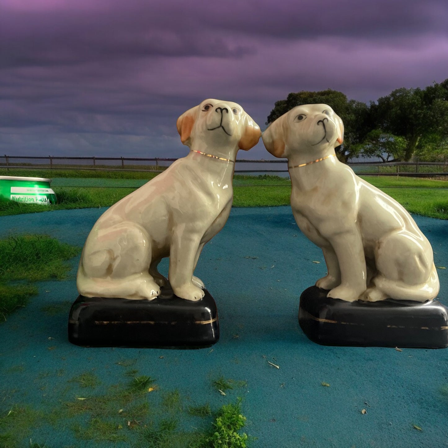 Untitled Apr15_12:33Classic with lots of warmth and charm ! These vintage Hand-painted Porcelain Dog Bookends are the perfect set for your eclectic styled home . These have some signs of age to them which adds even more character to any shelf in your home