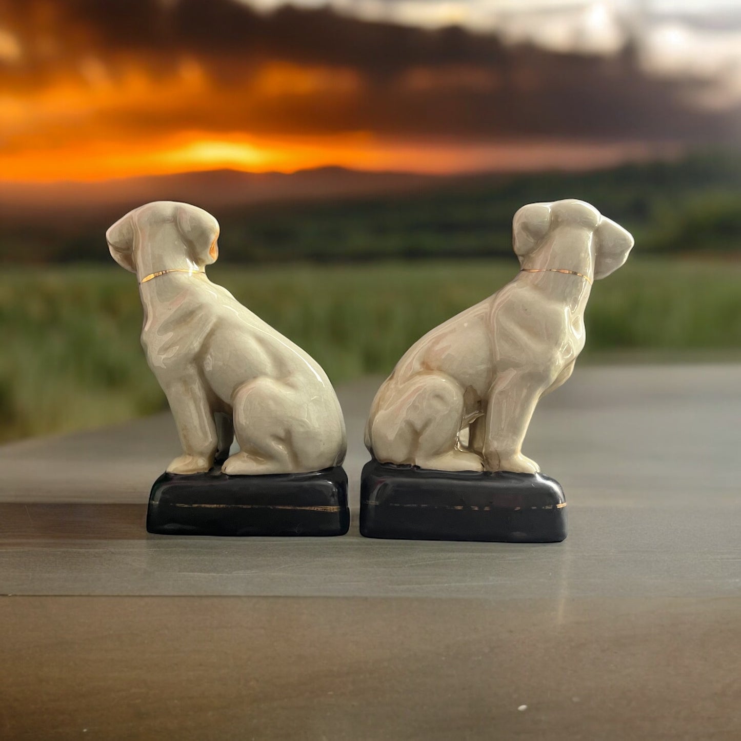 Untitled Apr15_12:33Classic with lots of warmth and charm ! These vintage Hand-painted Porcelain Dog Bookends are the perfect set for your eclectic styled home . These have some signs of age to them which adds even more character to any shelf in your home