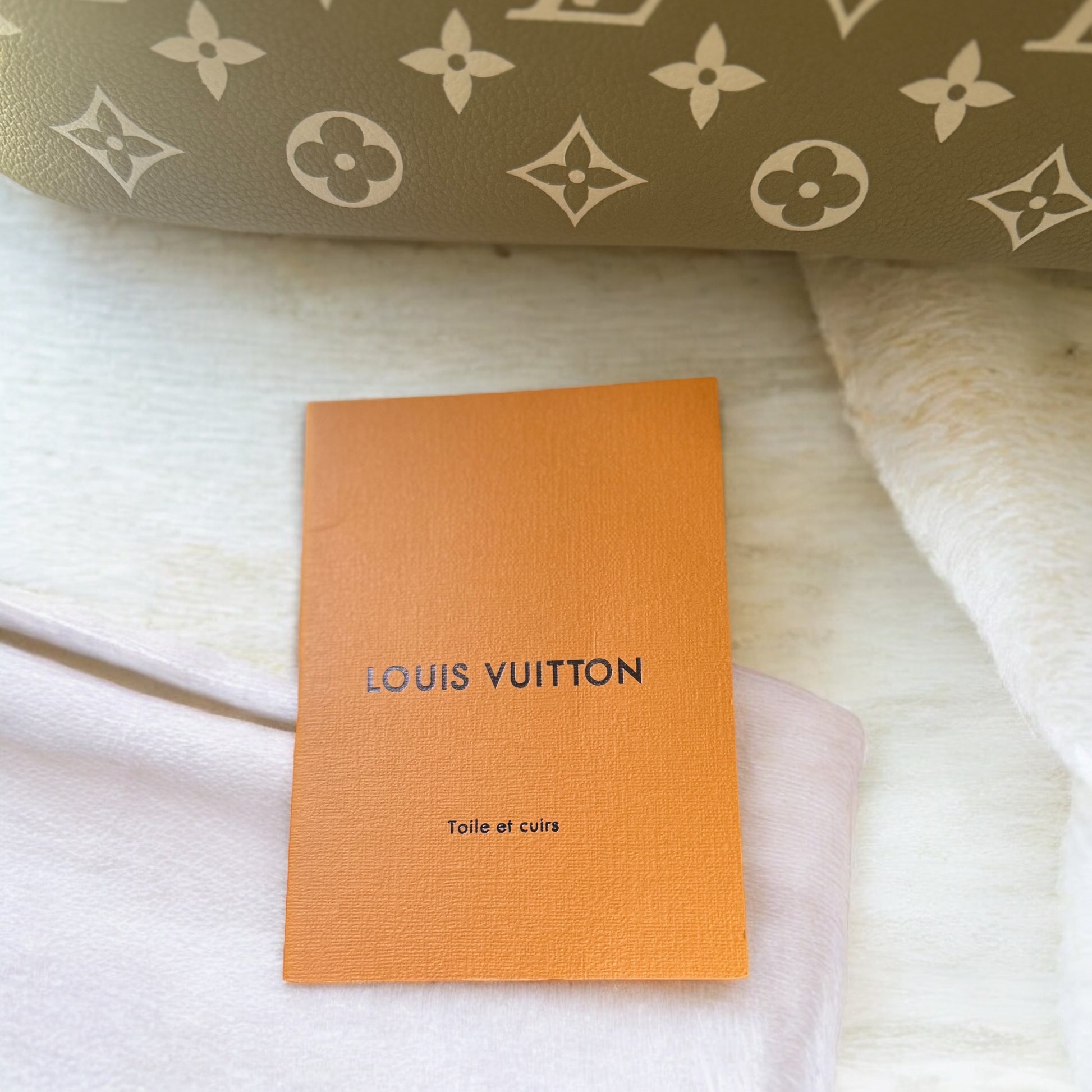 Like New Louis Vuitton Never Full Pink & Green - My Mama Found What  